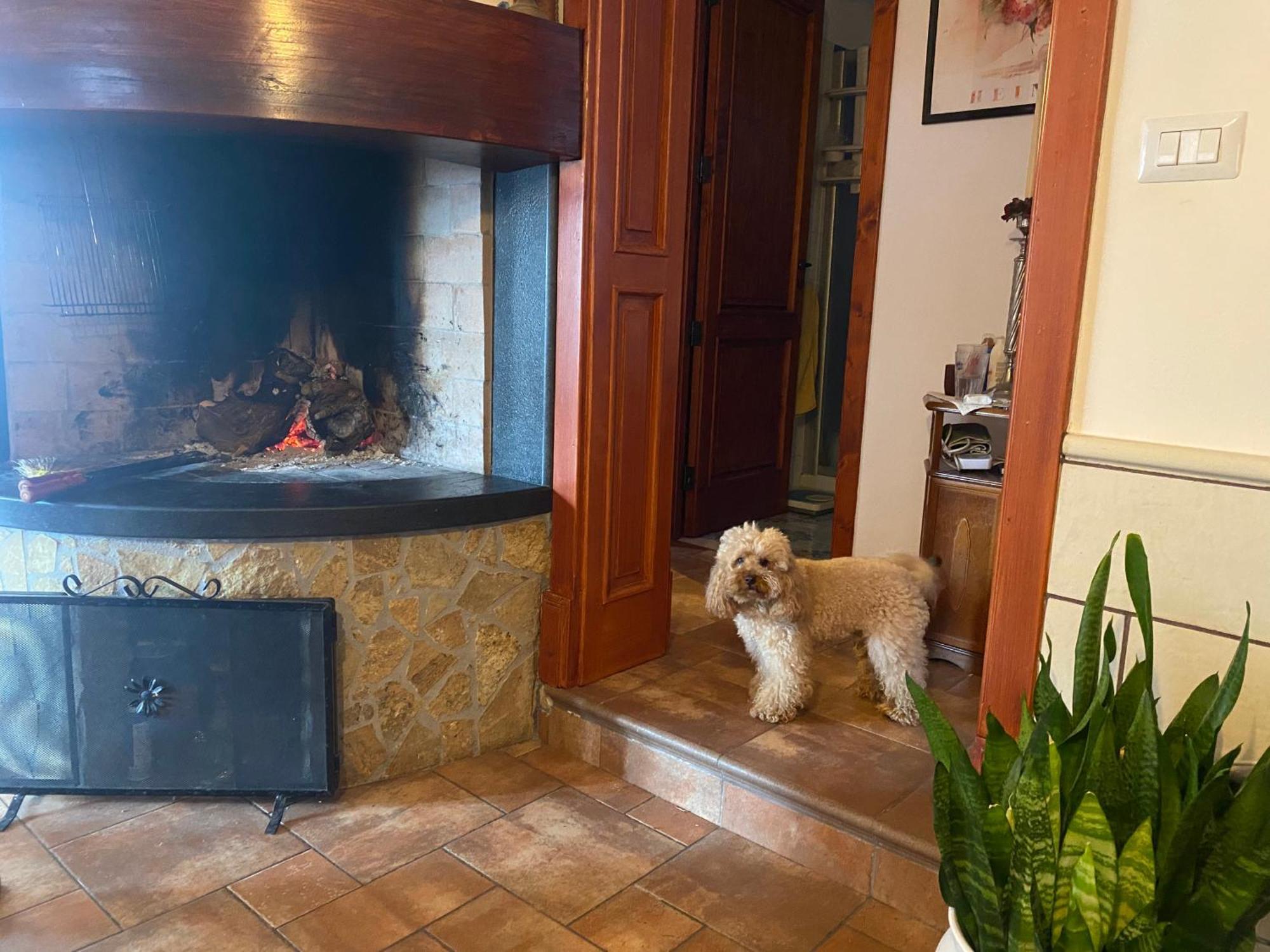 Masseria Tre Archi & Apulia Relais Gentiluomo 객실 사진